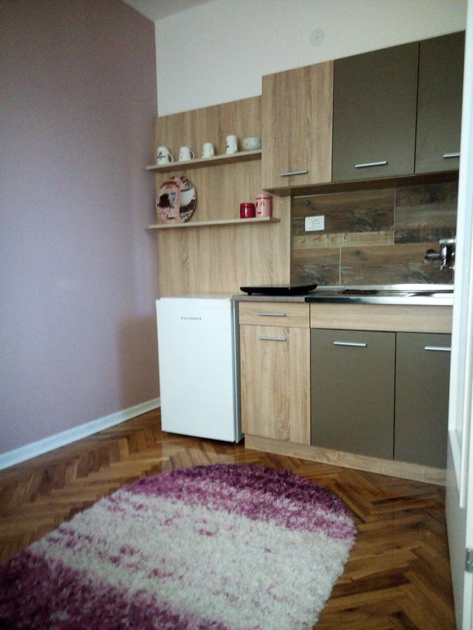 Vrnjačka Banja Apartment Holiday מראה חיצוני תמונה